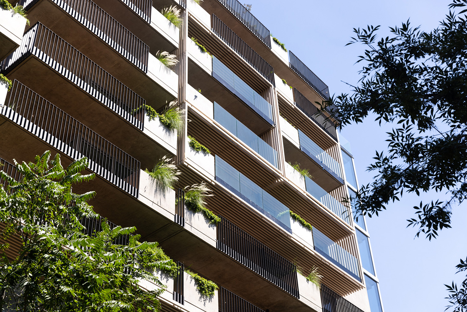 Donna Reggia - Estudio AZCUY - CARPEAL Building Donna Reggia - Estudio AZCUY - CARPEAL Building